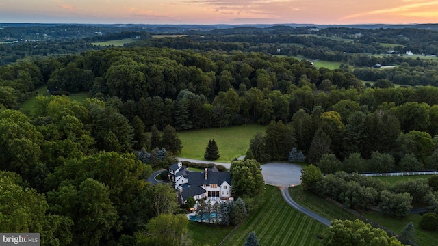 aerial view at dusk of a forest view