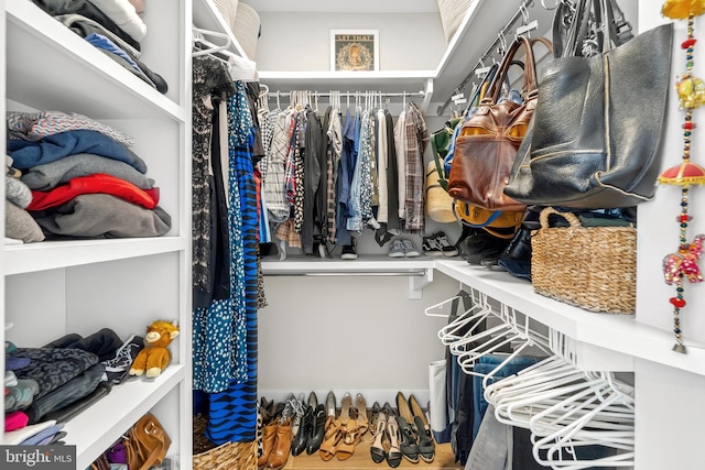 view of spacious closet