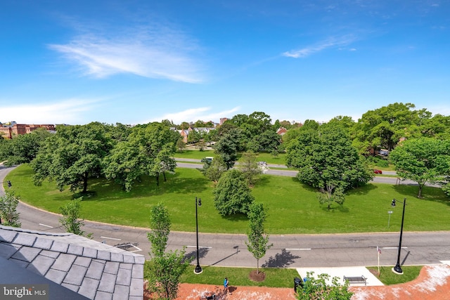 view of community with a lawn