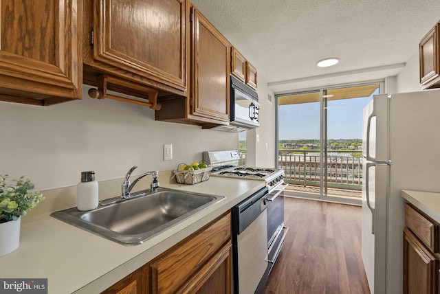 kitchen featuring a sink, expansive windows, light countertops, appliances with stainless steel finishes, and dark wood-style floors