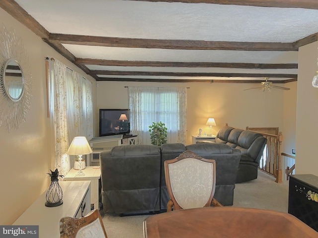living room featuring beamed ceiling, ceiling fan, and carpet floors