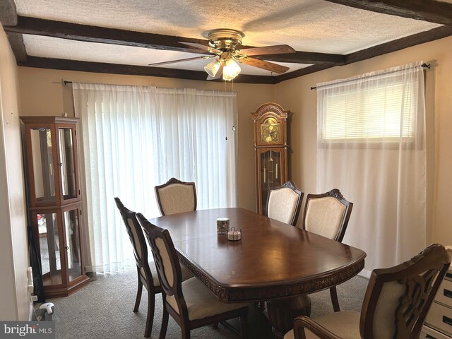 carpeted dining space featuring a textured ceiling and ceiling fan