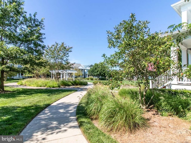 view of property's community with a yard