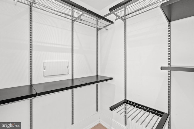 view of walk in closet