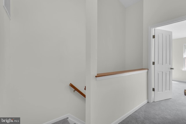 staircase featuring baseboards and carpet
