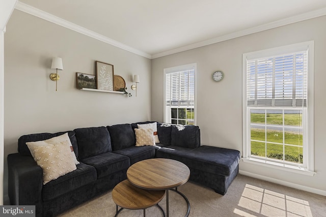 living room with baseboards, ornamental molding, and carpet flooring