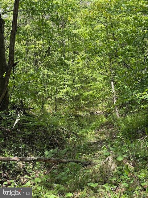 0 Little Wolf Rd, Clarence, PA 16829