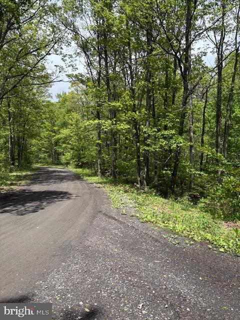 0 Little Wolf Rd, Clarence, PA 16829