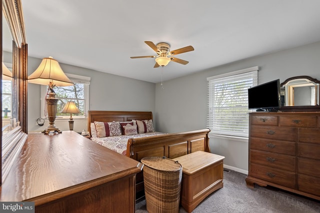 2411 Nickoles Dr, Sykesville, MD 21784 - bedroom featuring baseboards, carpet floors, and multiple windows