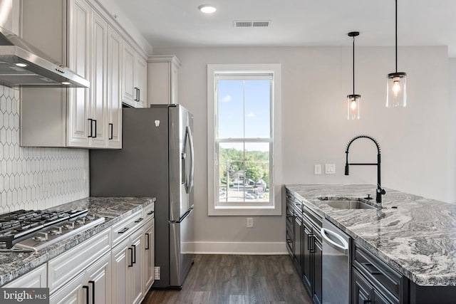 kitchen featuring ventilation hood, appliances with stainless steel finishes, a healthy amount of sunlight, and a sink