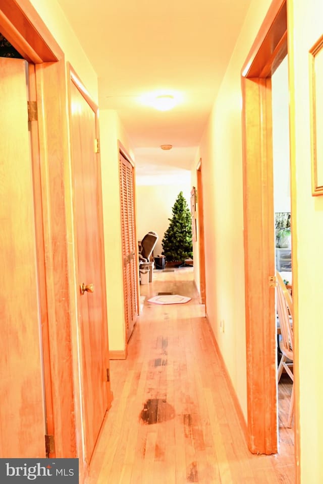 4092 Manchester St, Glen Rock, PA 17327 - hallway featuring light wood finished floors