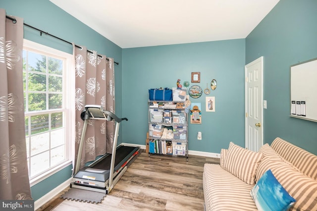 workout room with baseboards, wood finished floors, and plenty of natural light