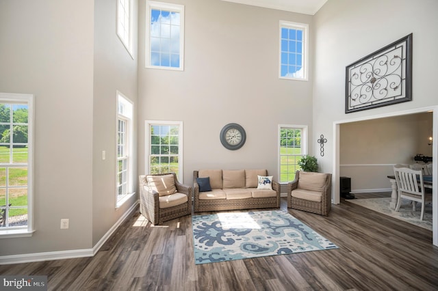 living area featuring baseboards, a towering ceiling, and plenty of natural light