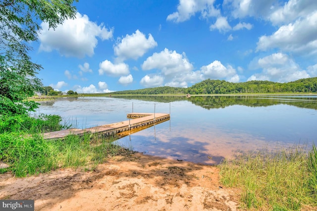 dock area featuring a wooded view and a water view
