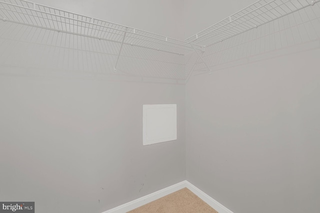 159 Heathfield Dr, Frederick, MD 21702 - walk in closet with carpet