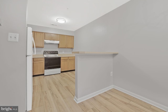 159 Heathfield Dr, Frederick, MD 21702 - kitchen featuring range with electric cooktop, under cabinet range hood, light wood-style floors, freestanding refrigerator, and baseboards