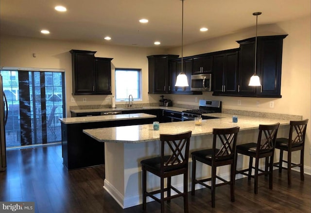kitchen featuring dark cabinets, a peninsula, dark wood-type flooring, and appliances with stainless steel finishes