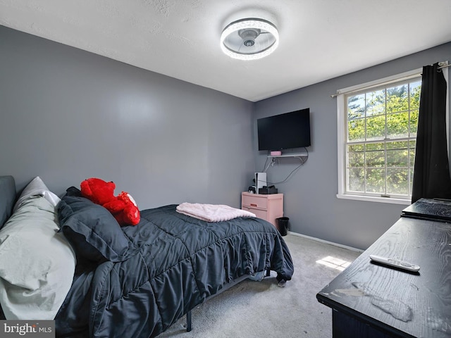 331 Possum Ct, Capitol Heights, MD 20743 - bedroom with carpet flooring and baseboards