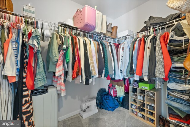 14401 Broadwinged Dr, Gainesville, VA 20155 - walk in closet with radiator heating unit and carpet