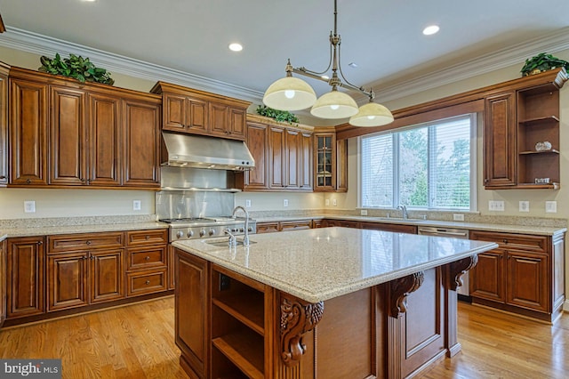 kitchen featuring open shelves, dishwasher, under cabinet range hood, and a sink