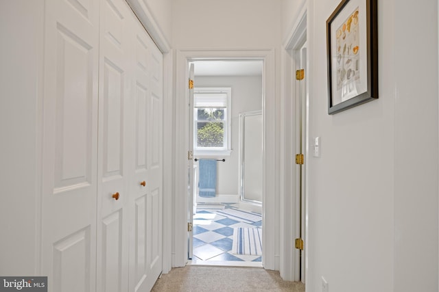 9050 Point Ln, Chestertown, MD 21620 - hall featuring baseboards