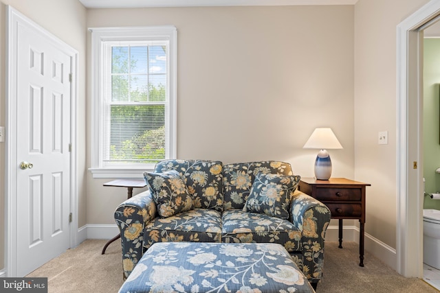9050 Point Ln, Chestertown, MD 21620 - sitting room featuring carpet floors, baseboards, and a wealth of natural light