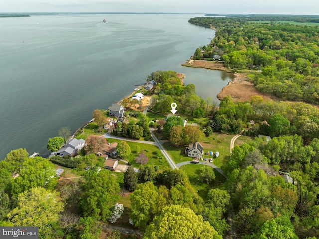 9050 Point Ln, Chestertown, MD 21620 - aerial view with a water view and a forest view