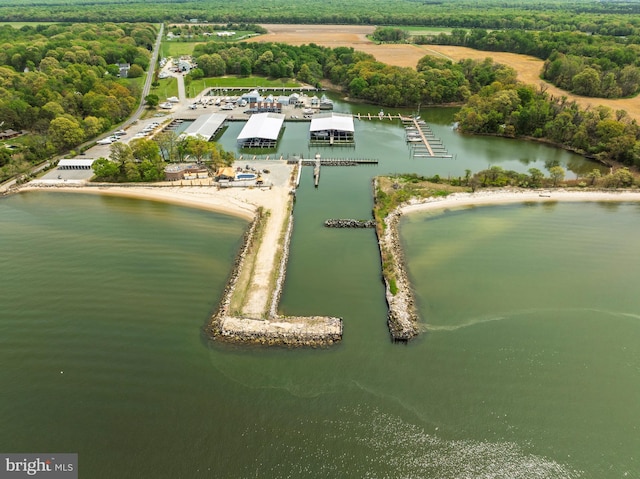 9050 Point Ln, Chestertown, MD 21620 - birds eye view of property featuring a water view and a view of trees