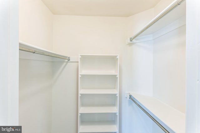 46878 Graham Cv, Sterling, VA 20165 - view of spacious closet