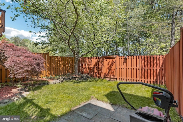 46878 Graham Cv, Sterling, VA 20165 - view of yard with a fenced backyard