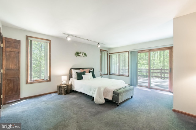 16 Hunters Ln, Chadds Ford, PA 19317 - bedroom featuring track lighting, baseboards, carpet flooring, and access to exterior