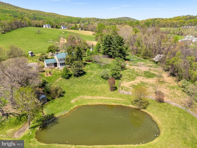 36170 Creamer Ln, Hillsboro, VA 20132 - drone / aerial view featuring a water view and a wooded view