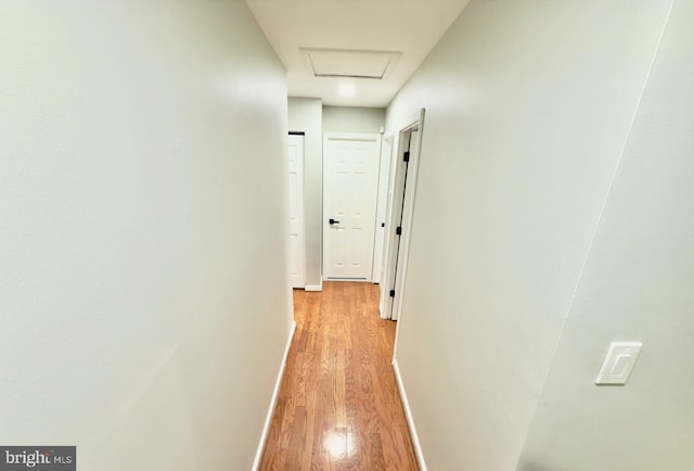 218 Stevenson Sq, Alexandria, VA 22304 - corridor featuring attic access and light wood-style floors