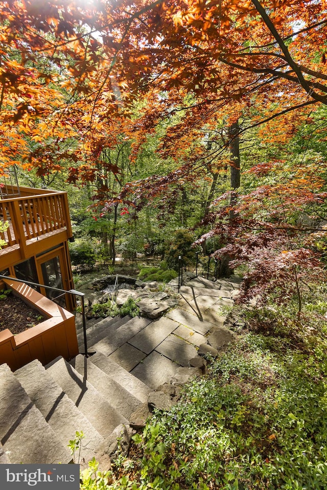3440 Mansfield Rd, Falls Church, VA 22041 - view of patio