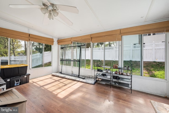 2 Underwood Ct, Burlington, NJ 08016 - sunroom / solarium with a wealth of natural light and a ceiling fan