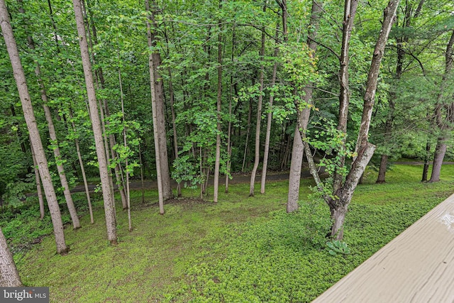 7098 Garden Walk, Columbia, MD 21044 - view of yard