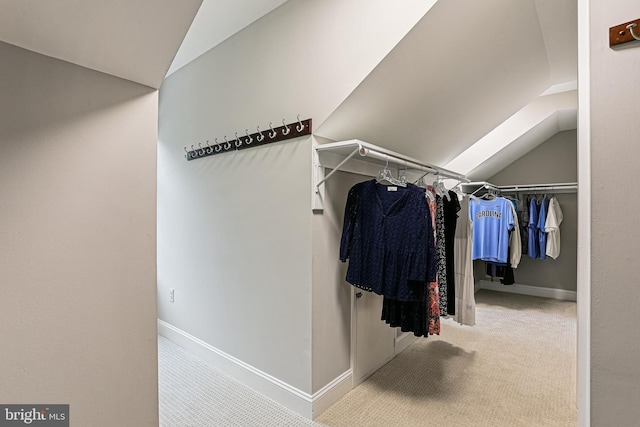 7098 Garden Walk, Columbia, MD 21044 - walk in closet with lofted ceiling and carpet