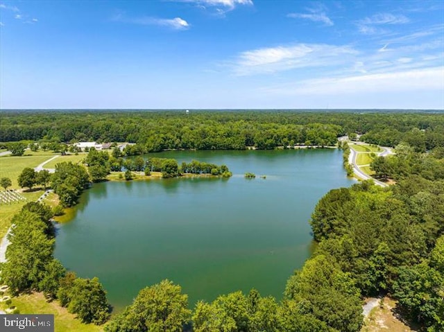 26 Capetown Rd, Ocean Pines, MD 21811 - drone / aerial view featuring a forest view and a water view