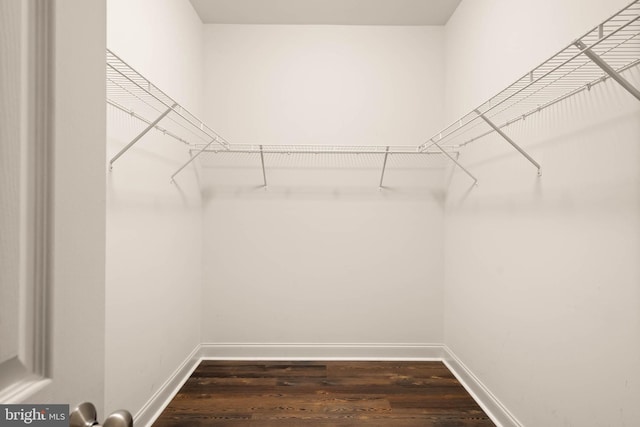 34795 Mute Swan Ln, Rehoboth Beach, DE 19971 - spacious closet with dark wood-type flooring