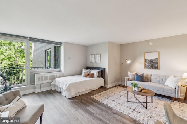 bedroom with radiator heating unit, baseboards, wood finished floors, and multiple windows