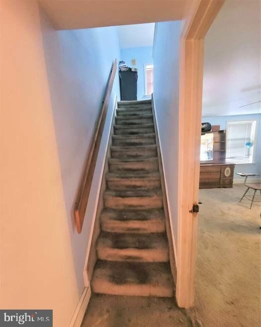 staircase featuring plenty of natural light and carpet floors