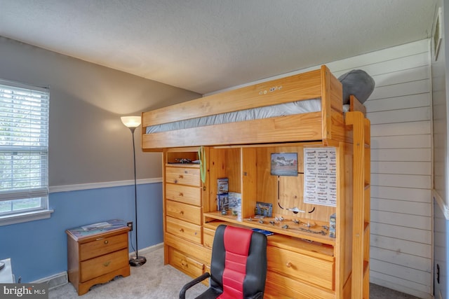 415 W High St, Felton, DE 19943 - carpeted office space featuring a textured ceiling, wood walls, and baseboards