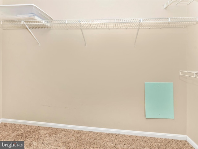 109 Rock Creek Ct, Frederick, MD 21702 - spacious closet with carpet floors