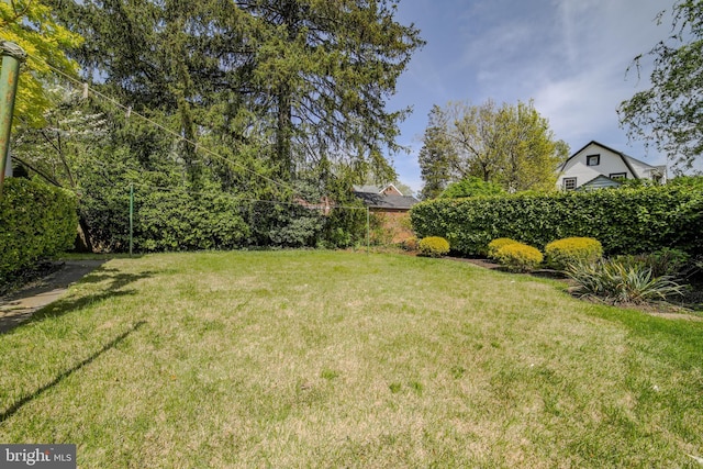 view of yard