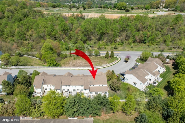 bird's eye view