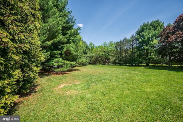 view of yard