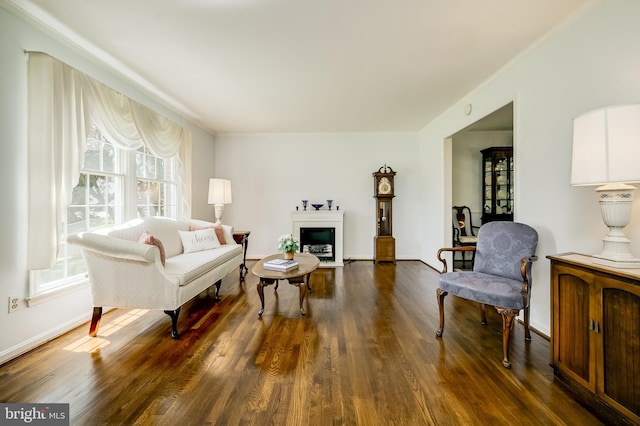 living area featuring crown molding, baseboards, a fireplace, and dark wood-type flooring