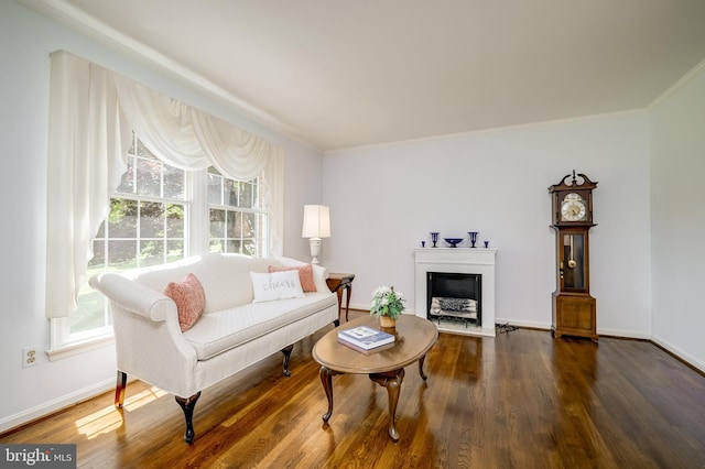 living room featuring crown molding, baseboards, a fireplace, and wood finished floors
