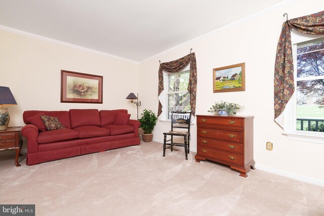 carpeted living room featuring crown molding and baseboards