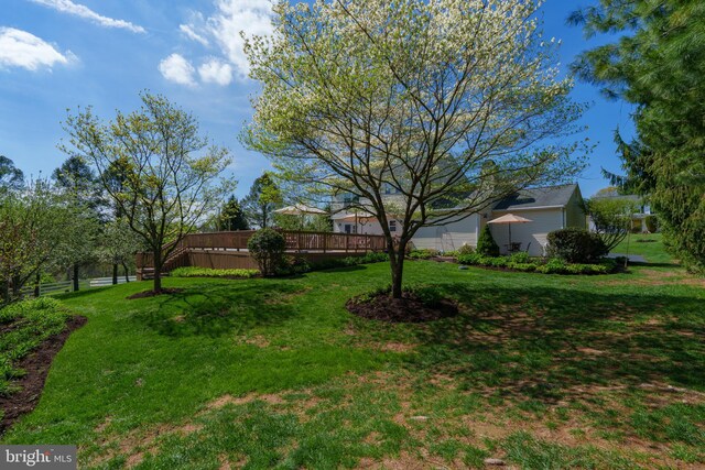 view of yard featuring a deck